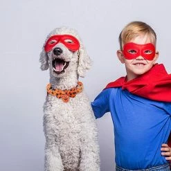 Unbranded Pet Halloween Ties - Soft Halloween Dog Ties And Bows With Bow Tie Bell | Halloween Collar For Dogs Ghost Pumpkin Pet Costume For Small Medium Puppy D -nourriture pour chien boutique 713454000 max