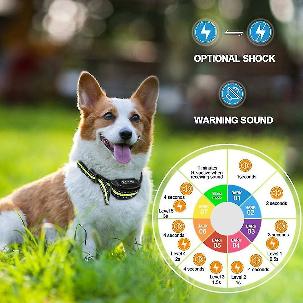 Unbranded Fournitures Pour Animaux De Compagnie Beep Dog Rechargeable Ip67 Waterproof Training Anti-bark Collar,11 5 Unbranded Fournitures Pour Animaux De Compagnie Beep Dog Rechargeable Ip67 Waterproof Training Anti-bark Collar,11 – Image 5