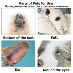 Unbranded Dog Clippers Pet Foot H Trimmer Dog Scissors Usb Recharable Butt Ear Eye H Clipper -nourriture pour chien boutique 716798439 max