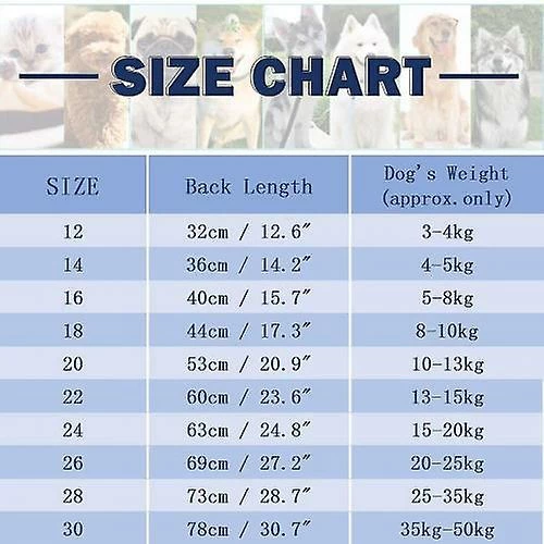 Unbranded Imperméable Blue Dog Avec Sweat à Capuche Détachable, Manteau à Cordon 2 Unbranded Imperméable Blue Dog Avec Sweat à Capuche Détachable, Manteau à Cordon – Image 2