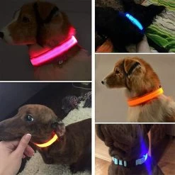 Unbranded Xiaomi Led Light-up Dog Collar Rechargeable Imperméable à L’eau Glow-in-the-dark Collar Réglable Dog Glow-in-the-dark Collier De Sécurité Pour Chien De Compagnie 6 Unbranded Xiaomi Led Light-up Dog Collar Rechargeable Imperméable à L’eau Glow-in-the-dark Collar Réglable Dog Glow-in-the-dark Collier De Sécurité Pour Chien De Compagnie -nourriture pour chien boutique 717495482 max