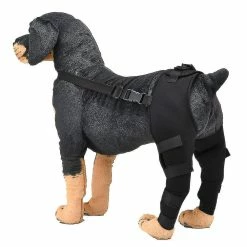 Unbranded Dog Elbow Brace Protector Pads Pet Dog Hind Legs Protector Adjustable Dogs Knee Brace Leg Support_h -nourriture pour chien boutique 717703004 max