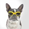 Unbranded Dog Goggles, Pet Sunglasses, Uv Protection Z