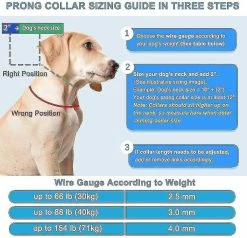 Unbranded Dog Paw Training Collar, Dog Choke With Comfort Tips And Quick Se Buckles For Medium Dogs (3.5mm*55cm) Z -nourriture pour chien boutique 718410874 max