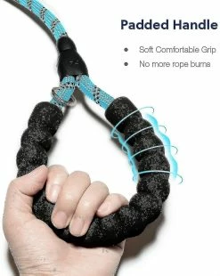 Unbranded Dog Training Slip Leash, Dog Slip Lead, Puppy Obedience Recall Training Lead, 6 Ft Long, Heavy Duty Rope With Reflective Design, Comfortable , F Z 5 Unbranded Dog Training Slip Leash, Dog Slip Lead, Puppy Obedience Recall Training Lead, 6 Ft Long, Heavy Duty Rope With Reflective Design, Comfortable , F Z -nourriture pour chien boutique 718412075 max