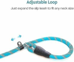 Unbranded Dog Training Slip Leash, Dog Slip Lead, Puppy Obedience Recall Training Lead, 6 Ft Long, Heavy Duty Rope With Reflective Design, Comfortable , F Z 6 Unbranded Dog Training Slip Leash, Dog Slip Lead, Puppy Obedience Recall Training Lead, 6 Ft Long, Heavy Duty Rope With Reflective Design, Comfortable , F Z -nourriture pour chien boutique 718412199 max