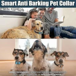 Unbranded Miofth 3 In1 Anti Bark Dog Collar Excessive Barking Device Safe Harmless Humane Anti-bark Training For Small Medium Large Size Breeds Z -nourriture pour chien boutique 718422376 max