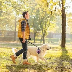 Unbranded Dog Treat Bag Pet Feces Treat Bag Holder Dog Feces Treat Bag Distributeur Outdoor Stand Carry Dog Trash Zipper Bag Avec Boutons Métalliques Pour La Plupart Des Chiens Leashe 3 Unbranded Dog Treat Bag Pet Feces Treat Bag Holder Dog Feces Treat Bag Distributeur Outdoor Stand Carry Dog Trash Zipper Bag Avec Boutons Métalliques Pour La Plupart Des Chiens Leashe -nourriture pour chien boutique 718728875 max