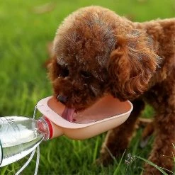 Unbranded Portable Pet Dog Water Bottle Drinking Water Feeder Dog Cat Outdoor Water Bowl Bottle Pet Supplies, Cg -nourriture pour chien boutique 721070932 max