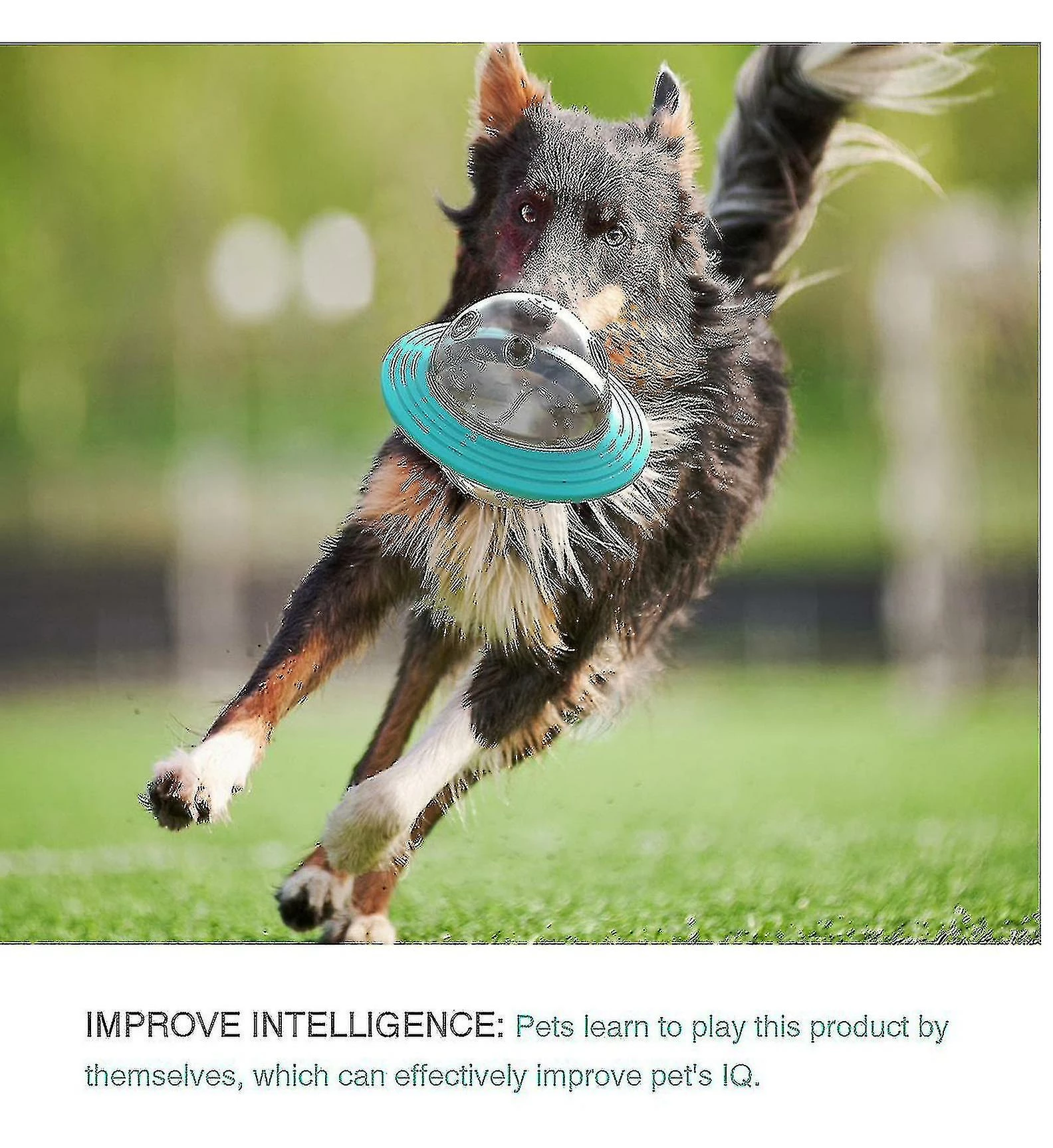 Unbranded Dog Toys Ball Food Dispenser Iq Puzzle Pet Training Toys Pour Chiens Pet Ball-food Ball Pour Chiens 3 Unbranded Dog Toys Ball Food Dispenser Iq Puzzle Pet Training Toys Pour Chiens Pet Ball-food Ball Pour Chiens – Image 3