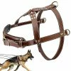 Unbranded Harnais Pour Chien Pour Promenades Big Dog Harness Exercice