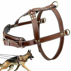 Unbranded Harnais Pour Chien Pour Promenades Big Dog Harness Exercice