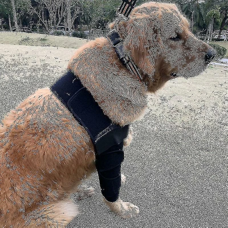 Luluzhu Respirant Dog Elbow Brace Protect Pads Pour Canine Elbow Et Shoulder Support Elbow Hygroma, Dysplasie, Arthrose, Dégagement Des Callosités Du Coude Sal 3 Luluzhu Respirant Dog Elbow Brace Protect Pads Pour Canine Elbow Et Shoulder Support Elbow Hygroma, Dysplasie, Arthrose, Dégagement Des Callosités Du Coude Sal – Image 3