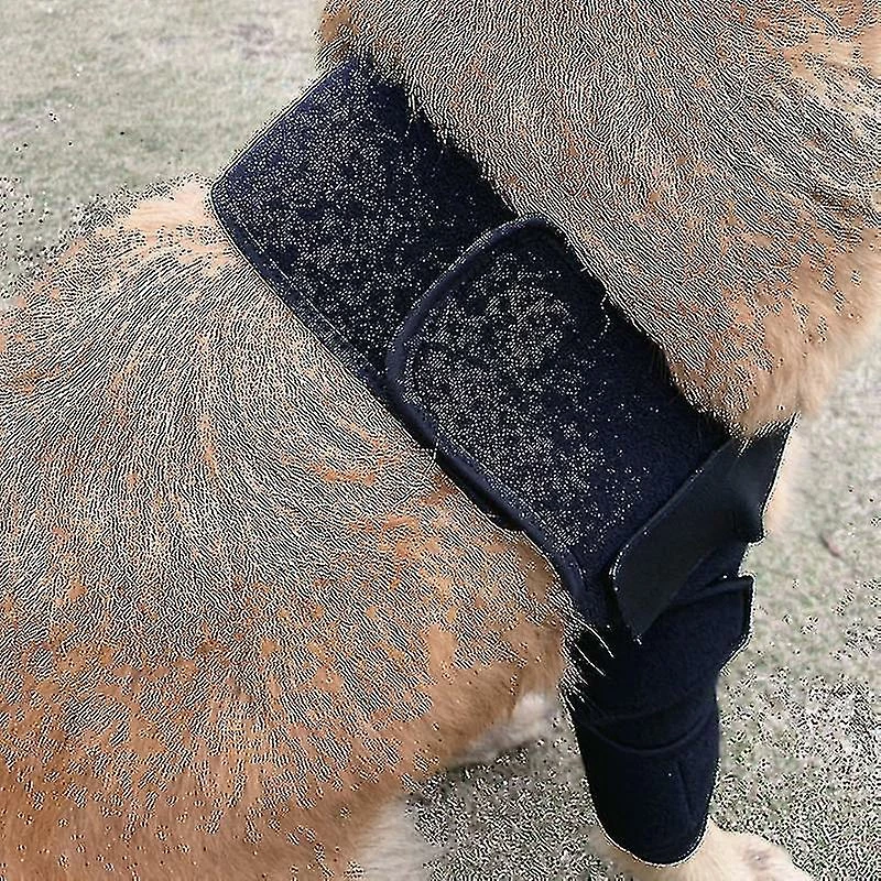 Luluzhu Respirant Dog Elbow Brace Protect Pads Pour Canine Elbow Et Shoulder Support Elbow Hygroma, Dysplasie, Arthrose, Dégagement Des Callosités Du Coude Sal 4 Luluzhu Respirant Dog Elbow Brace Protect Pads Pour Canine Elbow Et Shoulder Support Elbow Hygroma, Dysplasie, Arthrose, Dégagement Des Callosités Du Coude Sal – Image 4