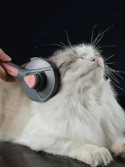 Unbranded Kimpets Cat Comb Dog Comb Peign Peign Comb Comb Pour Animaux De Compagnie Dog Hair Cleaner Produits De Nettoyage Et De Toilettage (gris) 8 Unbranded Kimpets Cat Comb Dog Comb Peign Peign Comb Comb Pour Animaux De Compagnie Dog Hair Cleaner Produits De Nettoyage Et De Toilettage (gris) -nourriture pour chien boutique 728591659 max