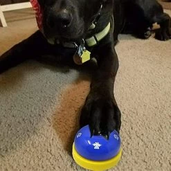 Luluzhu Cloche Pour Animaux De Compagnie, 2 Pack Metal Bell Dog Training Avec Fonds En Caoutchouc Antidérapants Cloche De Porte Pour Chien Pour PotTy Training Ring Pet Tool Dispositif De Communication Pour -nourriture pour chien boutique 729344639 max