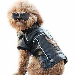 Unbranded Dog Winter Coat Pu Leather Motorcycle Jacket Pour Chien Pet Clothes Veste En Cuir, Imperméable à L’eau 8 Unbranded Dog Winter Coat Pu Leather Motorcycle Jacket Pour Chien Pet Clothes Veste En Cuir, Imperméable à L’eau -nourriture pour chien boutique 736521777 max