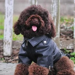 Unbranded Dog Winter Coat Pu Leather Motorcycle Jacket Pour Chien Pet Clothes Veste En Cuir, Imperméable à L’eau 9 Unbranded Dog Winter Coat Pu Leather Motorcycle Jacket Pour Chien Pet Clothes Veste En Cuir, Imperméable à L’eau -nourriture pour chien boutique 736521958 max