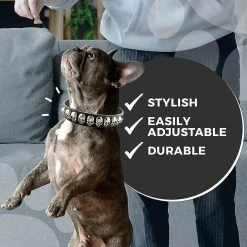 Unbranded Pet Dog Pu Collier En Cuir Sangle Cool Cool Skull Inlay Réglable Soft Dog Collier Collier -nourriture pour chien boutique 736522563 max