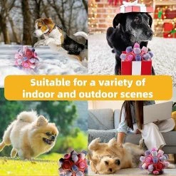 Unbranded Jouet Interactif Pet Snuffle Ball Dog, Encourager Les Compétences Naturelles De Recherche De NourritureFormation à La Nourriture Lente, Chiot Résistant Aux Morsures Jouets 9 Unbranded Jouet Interactif Pet Snuffle Ball Dog, Encourager Les Compétences Naturelles De Recherche De NourritureFormation à La Nourriture Lente, Chiot Résistant Aux Morsures Jouets -nourriture pour chien boutique 736528325 max