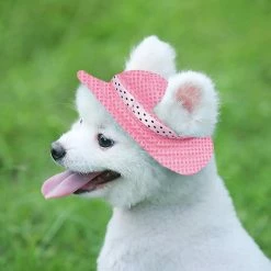 Unbranded 2 Pièces Round Brim Pet Baseball Hat Dog Mesh Porous Cap 8 Unbranded 2 Pièces Round Brim Pet Baseball Hat Dog Mesh Porous Cap -nourriture pour chien boutique 736547599 max