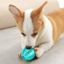 Luluzhu Dog Toy Ballsdog Rubber Chew Ball Clean Teeth Non-toxic Resistant Toyinteractive Iq Puzzle Training Toy Ball Pour Petit Chien Moyen -nourriture pour chien boutique 741555966 max