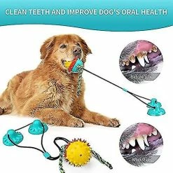 Luluzhu Interactif Dog Toy Dog Toy Dog Toy Incassable -nourriture pour chien boutique 741559880 max