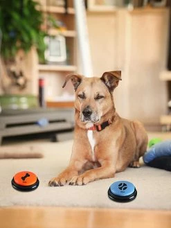 Unbranded Dog Vocal Trainer Pet Communication Button Pet Toy Buzzer 8 * 8cm -nourriture pour chien boutique 747077646 max