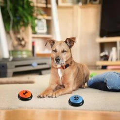 Unbranded Dog Vocal Trainer Pet Communication Button Pet Toy Buzzer 8 * 8cm -nourriture pour chien boutique 747077657 max