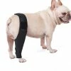 Luluzhu Pet Dog Genouillère Genouillère Luxation De La Rotule Arthrite Garde L’articulation Au Chaud Soutien Supplémentaire