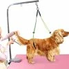 Yoxier Pet Grooming Table Corde Pet Grooming Leash Neck And Hock Holder Dog Grooming Buckle Jaune + Vert