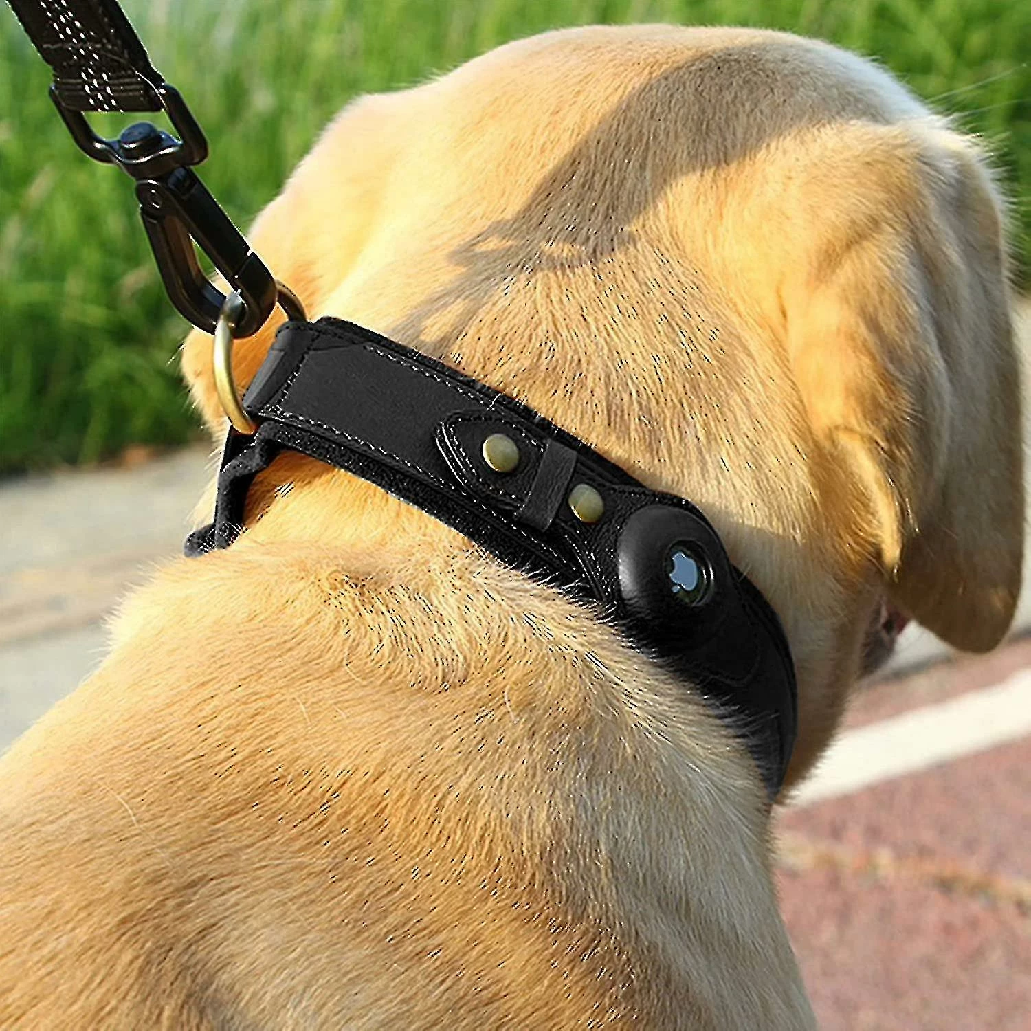 Unbranded Tag Dog Collar, Adjable Cow Dog Collar D Compatible With Tag, Compatible With S Medium And Lar Dog Cat#d205499 5 Unbranded Tag Dog Collar, Adjable Cow Dog Collar D Compatible With Tag, Compatible With S Medium And Lar Dog Cat#d205499 â Image 5