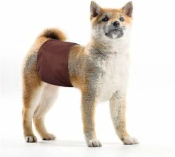 Unbranded Washable Dog Diapers(3 Pack) Reusable Y For Dogs, Absorpt And No Leaka Dog Wraps,comfortable And Durable -nourriture pour chien boutique 759041590 max