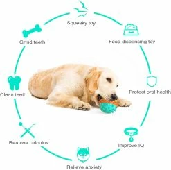 Unbranded Dog Teeth Brush Stick Dog Toys Chew Massager Rubber Dog Toothbrush Soins Dentaires Pour Chiens Petits Et Moyens (bleu Jaune) -nourriture pour chien boutique 761662608 max