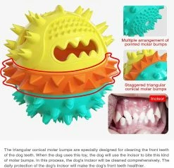 Unbranded Dog Teeth Brush Stick Dog Toys Chew Massager Rubber Dog Toothbrush Soins Dentaires Pour Chiens Petits Et Moyens (bleu Jaune) -nourriture pour chien boutique 761662767 max