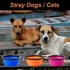 LetsGO Pieces Travel Dog Bowl, Folding Dog Bowl, Dog And Cat Travel Bowls, Avec Mousqueton De Voyage Pour La Nourriture Pour Animaux De Compagnie Et L’alimentation En Eau (bleu + Orange + Violet) -nourriture pour chien boutique 763852923 max