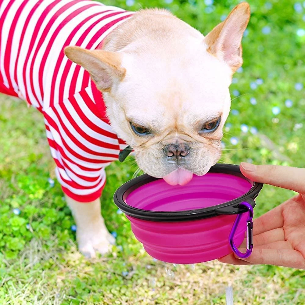 LetsGO 2 Pièces Portable Dog Bowl Plipsible Dog Bowl, Travel Dog Bowls Et Cat Bowls (350ml, Violet Et Vert) 5 LetsGO 2 Pièces Portable Dog Bowl Plipsible Dog Bowl, Travel Dog Bowls Et Cat Bowls (350ml, Violet Et Vert) – Image 5