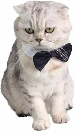 LetsGO Pet Bow Tie Réglable Pet Dog Cat Cravate Costume Cravate Formelle Pour Petits Chiens Puppy Accessoires De Toilettage S 6 LetsGO Pet Bow Tie Réglable Pet Dog Cat Cravate Costume Cravate Formelle Pour Petits Chiens Puppy Accessoires De Toilettage S -nourriture pour chien boutique 763867390 max