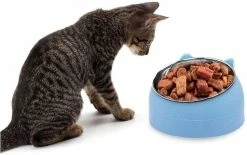 LetsGO Pet Bowl Chaton Cat Bowl Oblique Bouche Dog Bowl Acier Inoxydable Food Feeder Water 15 Degree Tilt Animals 400ml Bleu -nourriture pour chien boutique 763901237 max