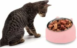 LetsGO Pet Bowl Dog Kitten Cat Bowl Oblique Mouth Bowl Acier Inoxydable Food Feeder Water 15 Degree Tilt Pour Animaux Rose 400ml -nourriture pour chien boutique 763901474 max