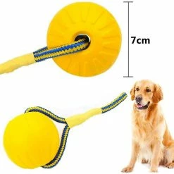 Unbranded Dog Ball, Dog Chew Ball Avec Corde, Dog Interactive Ball Launcher Pour L’exercice D’entraînement De Jeu D’animaux, Diamètre De La Balle 7cm Gdrhvfd 6 Unbranded Dog Ball, Dog Chew Ball Avec Corde, Dog Interactive Ball Launcher Pour L’exercice D’entraînement De Jeu D’animaux, Diamètre De La Balle 7cm Gdrhvfd -nourriture pour chien boutique 767963070 max