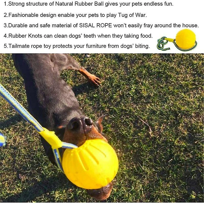 Unbranded Dog Ball, Dog Chew Ball Avec Corde, Dog Interactive Ball Launcher Pour L’exercice D’entraînement De Jeu D’animaux, Diamètre De La Balle 7cm Gdrhvfd 3 Unbranded Dog Ball, Dog Chew Ball Avec Corde, Dog Interactive Ball Launcher Pour L’exercice D’entraînement De Jeu D’animaux, Diamètre De La Balle 7cm Gdrhvfd – Image 3