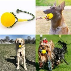 Unbranded Dog Ball, Dog Chew Ball Avec Corde, Dog Interactive Ball Launcher Pour L’exercice D’entraînement De Jeu D’animaux, Diamètre De La Balle 7cm Gdrhvfd 8 Unbranded Dog Ball, Dog Chew Ball Avec Corde, Dog Interactive Ball Launcher Pour L’exercice D’entraînement De Jeu D’animaux, Diamètre De La Balle 7cm Gdrhvfd -nourriture pour chien boutique 767963347 max
