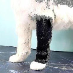 Unbranded 2pcs Dog Leg Brace Dog Canine Leg Wrap Leg Compression Brace Mt 6 Unbranded 2pcs Dog Leg Brace Dog Canine Leg Wrap Leg Compression Brace Mt -nourriture pour chien boutique 768366212 max