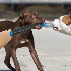 Unbranded Dog Break Stick Dog Anti-Training Stick No Slip Training Toy Pour Chiens De Taille Moyenne Pitbull Terrier Berger Allemand Fz51-3 -nourriture pour chien boutique 769227291 max