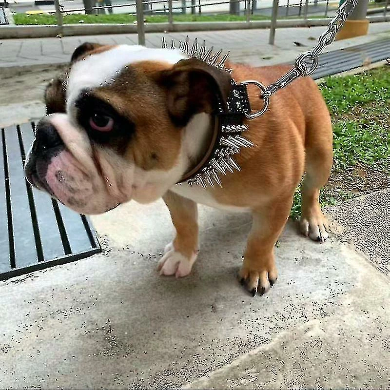 Unbranded Fash Y Pit Dog Collar Leash Morsure En Laisse 3 Unbranded Fash Y Pit Dog Collar Leash Morsure En Laisse – Image 3