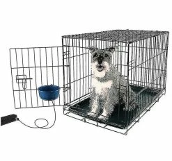 Unbranded Pet Ed Bowl Dog Bowl Hanging Usb Charging Usb Ed Pet Bowl 600ml Pet Electric Ed Bowl 6 Unbranded Pet Ed Bowl Dog Bowl Hanging Usb Charging Usb Ed Pet Bowl 600ml Pet Electric Ed Bowl -nourriture pour chien boutique 772192357 max