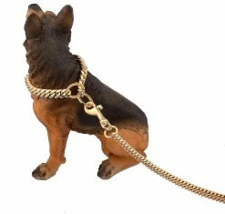 Unbranded Duty Dog Leash Metal Dog Leash Chaîne De Chien Avec Rembourré -nourriture pour chien boutique 772198410 max
