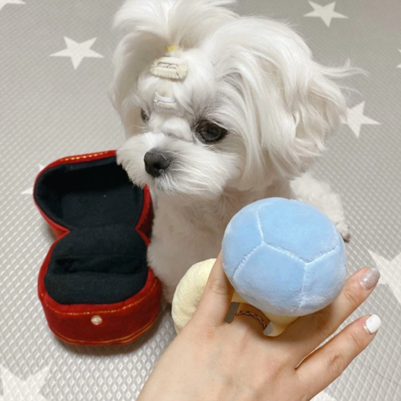 Unbranded Bague Pour Animaux De Compagnie Peluche Jouet Diamond Ring Set Interactif Dog Toys Ring Case Stuffed Puppy Chew Toy 4 Unbranded Bague Pour Animaux De Compagnie Peluche Jouet Diamond Ring Set Interactif Dog Toys Ring Case Stuffed Puppy Chew Toy – Image 4