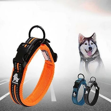 Breey Samo Anti Golden Hair Dog Collier De Cou 1 Breey Samo Anti Golden Hair Dog Collier De Cou